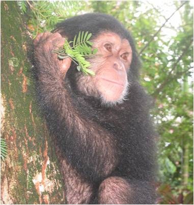 Mubankah - TMG Kids are sponsoring him in Limbe